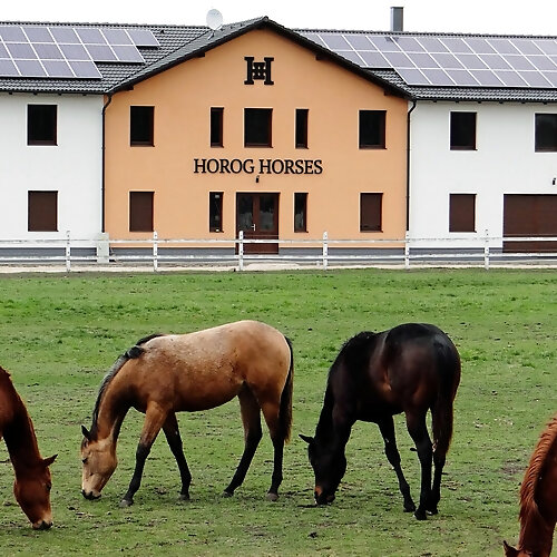 Pátwest Apartman Pátka