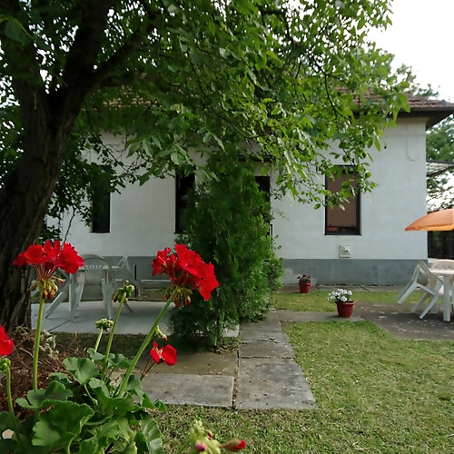 Ezüstfenyő Apartman Gyula