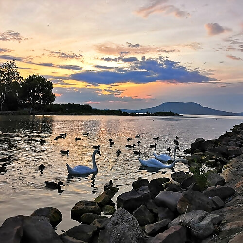 Mackó Apartman Fonyód